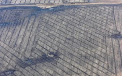 Investing in Drainage Could Mean More Money in Your Pocket